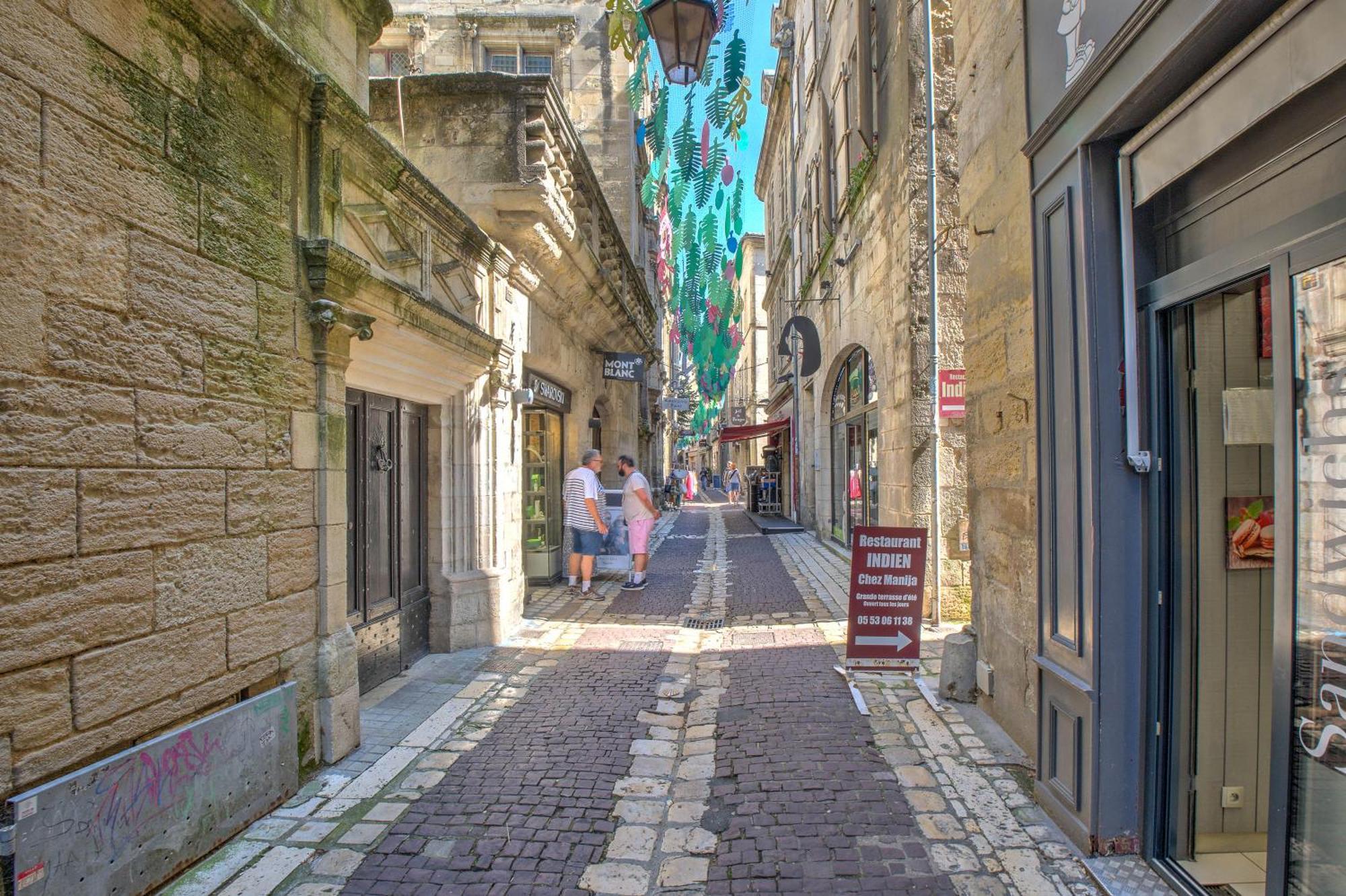 Apparts Limogeanne - Clim - Centre Historique Périgueux Eksteriør billede